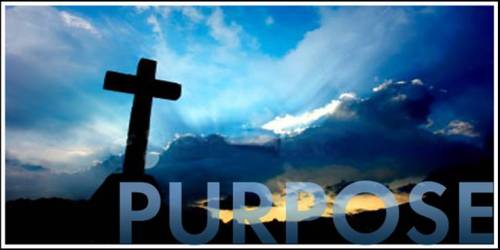 Purpose.Cross