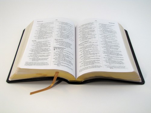 Bible.Standard