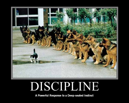 Discipline.Poster