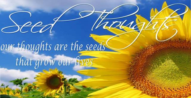 Sunday Seed Thoughts: What Seeds Are You Sowing? | ThePreachersWord