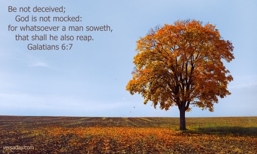 Galatians_6_7