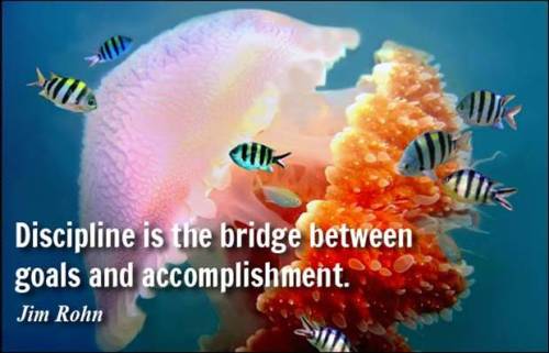 Discipline.accomplishment