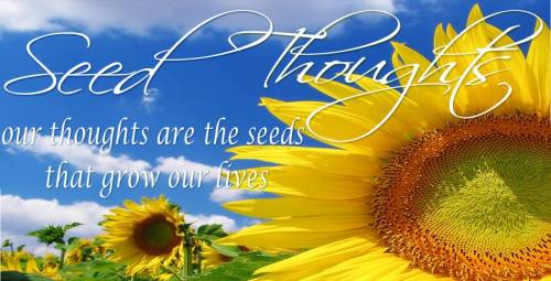 Seed Thoughts